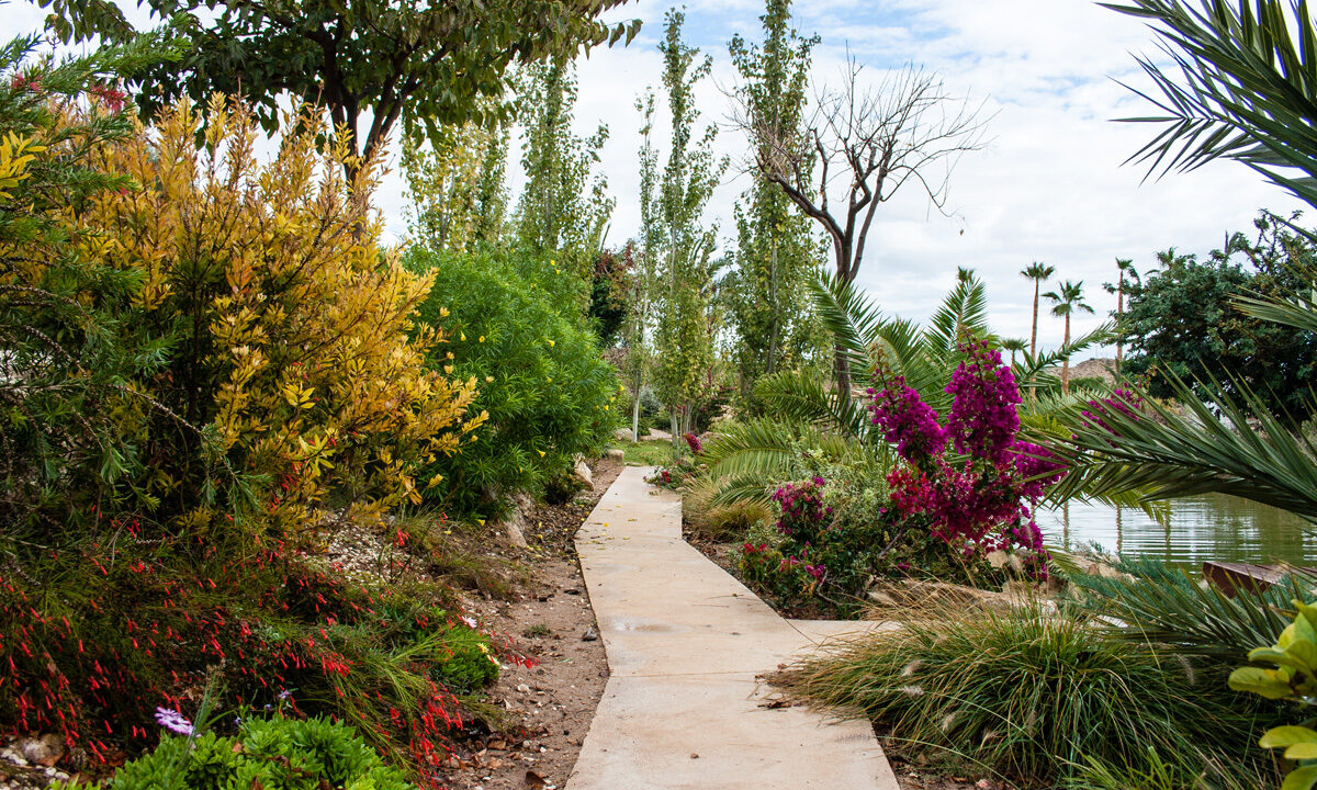 2014-Finca-Torreta-de-Bayona-4